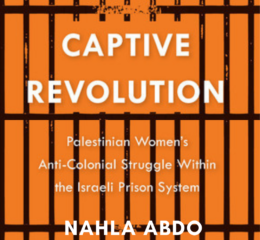 Thumbnail Captive Revolution