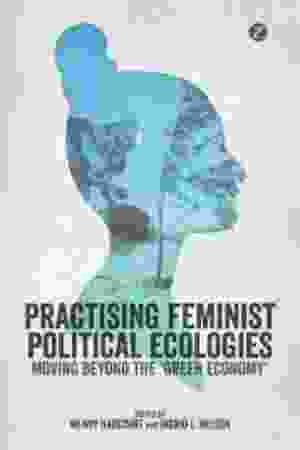 Practising feminist political economies: moving beyond the 'green economy'​​ / Wendy Harcourt & Ingrid L. Nelson (Eds.), 2015
